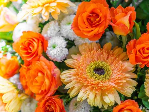 Güzel renkli çiçekler — Stok fotoğraf