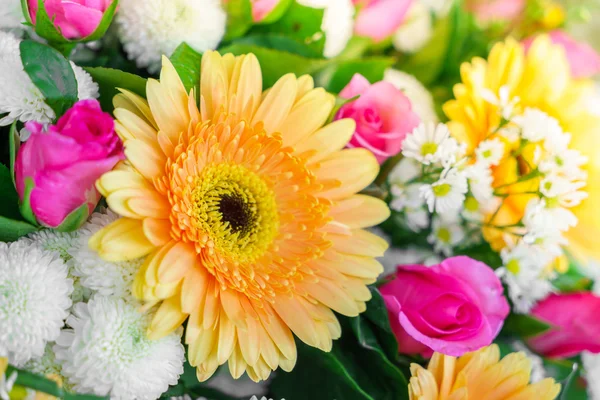 Schöne bunte Blumen — Stockfoto