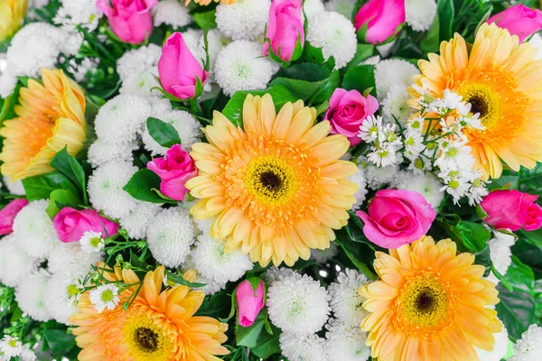 Beautiful colorful flowers — Stock Photo, Image