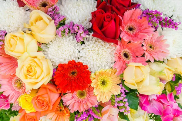 Mooie kleurrijke bloemen — Stockfoto