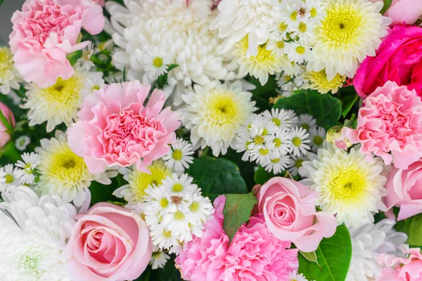 Mooie kleurrijke bloemen — Stockfoto