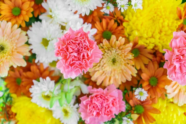 Vackra färgglada blommor — Stockfoto
