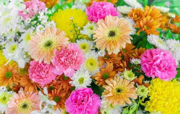 Schöne bunte Blumen — Stockfoto