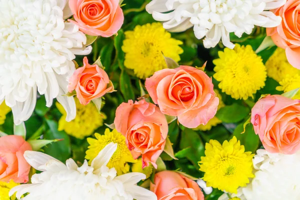 Schöne bunte Blumen — Stockfoto