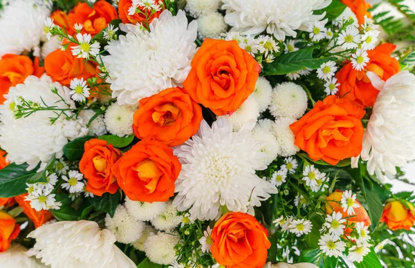 Schöne bunte Blumen — Stockfoto