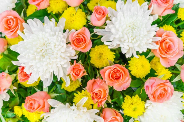 아름 다운 화려한 꽃 — 스톡 사진