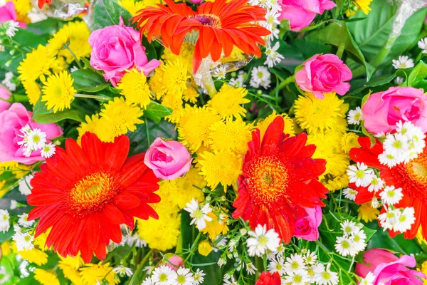 Beautiful colorful flowers — Stock Photo, Image