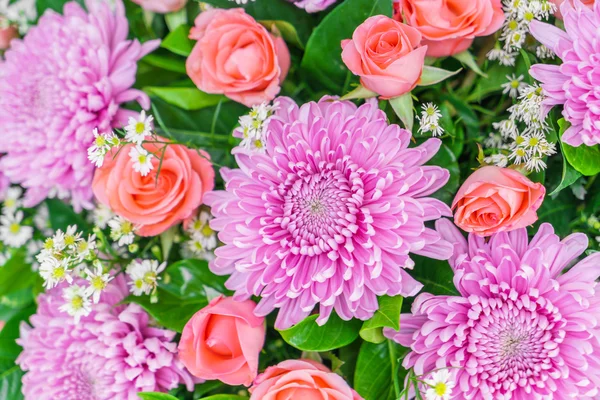 Gyönyörű színes virágok — Stock Fotó