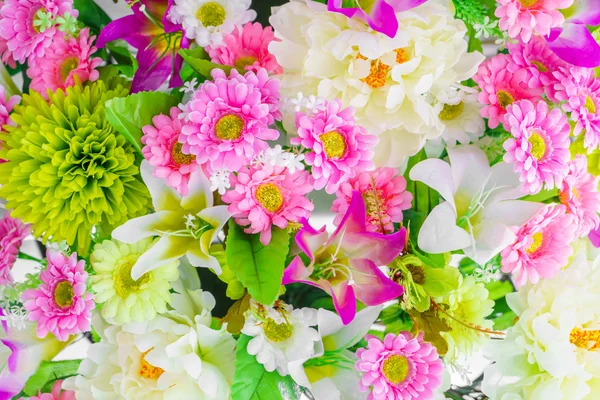 Lindas flores coloridas — Fotografia de Stock