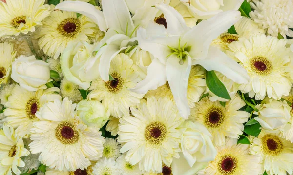 Mooie kleurrijke bloemen — Stockfoto