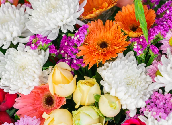 Mooie kleurrijke bloemen — Stockfoto