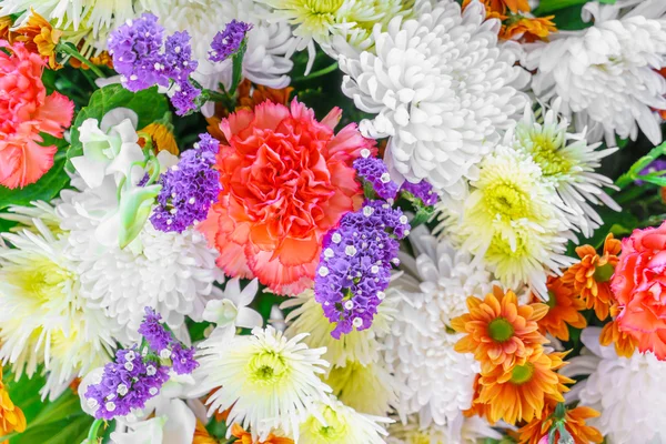 Schöne bunte Blumen — Stockfoto