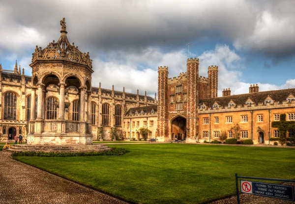 Cambridge Ordförande Royaltyfria Stockfoton