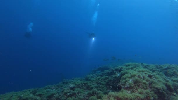 Mergulhadores Água Azul Escura — Vídeo de Stock
