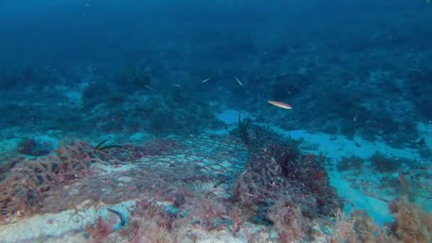 Deep Scuba Diving Αλιευτικό Δίχτυ Χαμένο Στον Βυθό Της Θάλασσας — Αρχείο Βίντεο