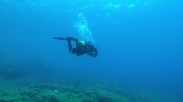 浅い水でスキューバダイバー — ストック動画