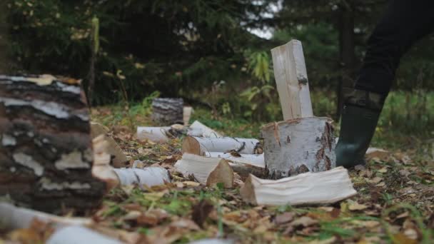 Jonge Knappe Man Hakt Hout Het Bos Een Houthakker Hakt — Stockvideo