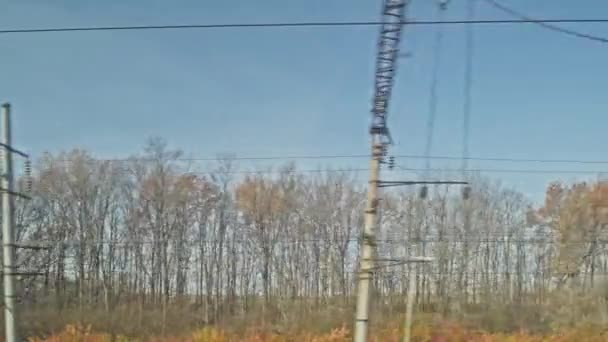 운행중인 열차의 창에서 바라본 창문에서 풍경이야 가을에는 들판과 — 비디오