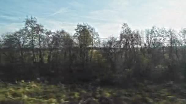 Vue Depuis Fenêtre Train Mouvement Paysage Rural Depuis Fenêtre Train — Video