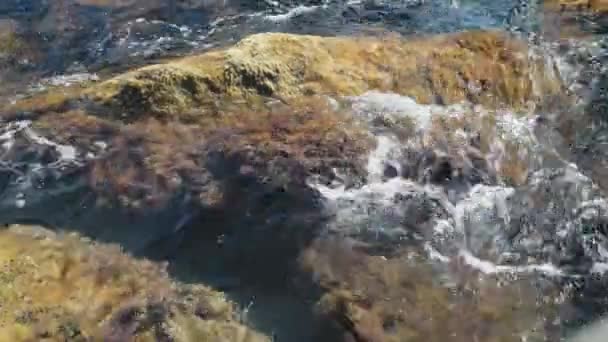 Скеля і риф покриті мохом і водоростями, омитими хвилями піни в морі . — стокове відео