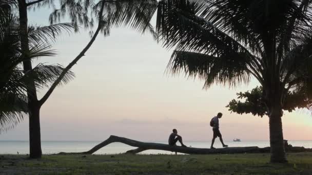 Silhouette d'hommes sur fond de mer à la lumière du soleil couchant. — Video