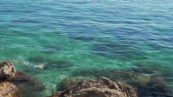 Turistler açık Karadeniz 'de güneşli bir yaz gününde kayaların arasında yüzerler.. — Stok video