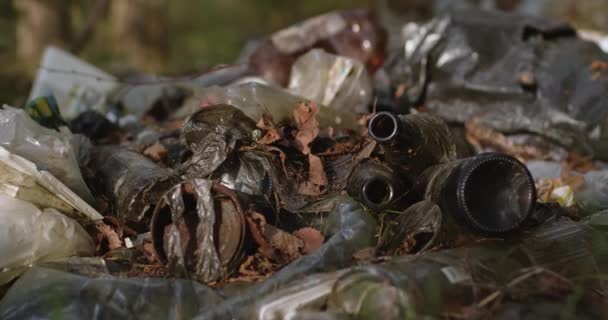 Uma mão em uma luva remove detritos da floresta, close-up — Vídeo de Stock