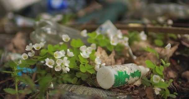 Uma garrafa de plástico jaz na borda da floresta, trançada com flores silvestres. — Vídeo de Stock