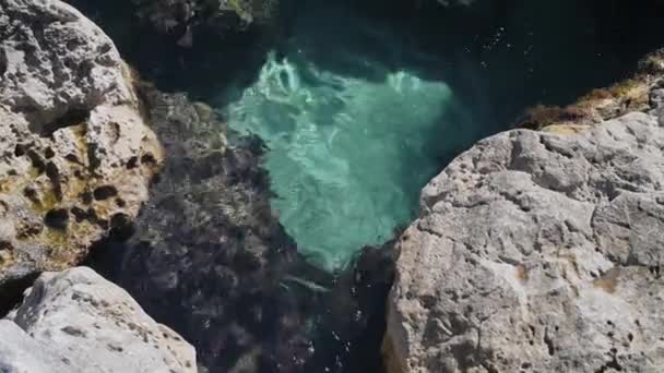 Скалы и рифы, покрытые мхом и водорослями, омываемые волнами пены в море — стоковое видео