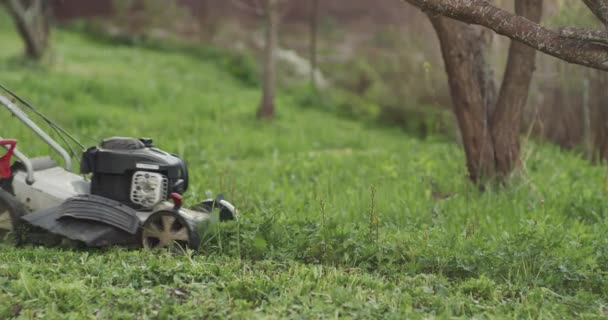 Bahçede yeşil çimenler ve elinde çim biçme makinesi olan bir adam geçiyor. — Stok video