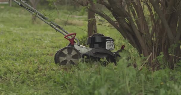 Bahçede yeşil çimenler ve elinde çim biçme makinesi olan bir adam geçiyor. — Stok video