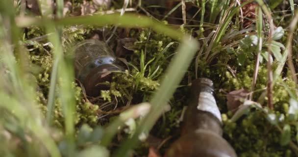 Uma mão em uma luva remove detritos da floresta, close-up — Vídeo de Stock