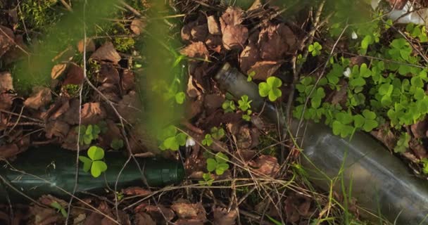 Uma mão em uma luva remove detritos da floresta, close-up. Frasco de vidro vazio — Vídeo de Stock