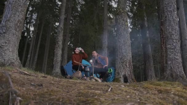 Een prachtige filmische opname van twee jonge toeristen, een man en een vrouw in hout. — Stockvideo