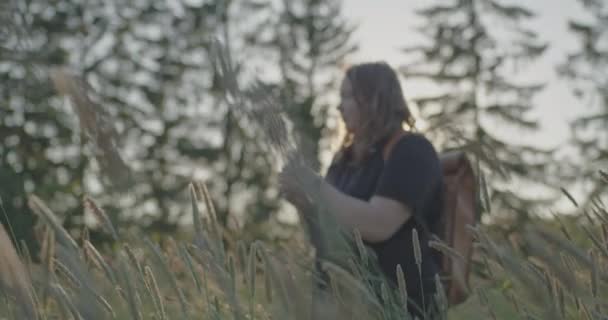 Dívka při západu slunce na poli s vysokou ostnatou trávou sbírá polní kytici — Stock video