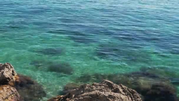 Οι τουρίστες κολυμπούν στην ανοικτή Μαύρη Θάλασσα ανάμεσα στα βράχια σε μια σαφή ηλιόλουστη μέρα του καλοκαιριού. — Αρχείο Βίντεο