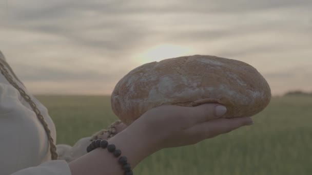 Primer plano de una hogaza de pan casero recién horneado en manos de una mujer en un campo — Vídeos de Stock