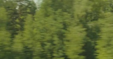 Sıcak yaz gününde hareket halindeki bir orman ve tarla treninin penceresinden bak