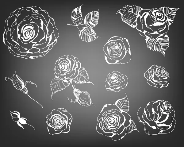 Roses dessinées à la main — Image vectorielle