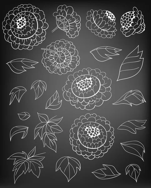 Hand drawn set of peonies — Stock Vector