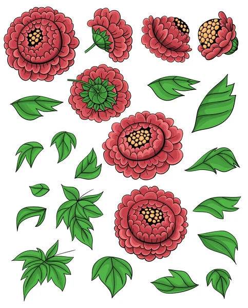 Hand drawn set of peonies — Stock Vector