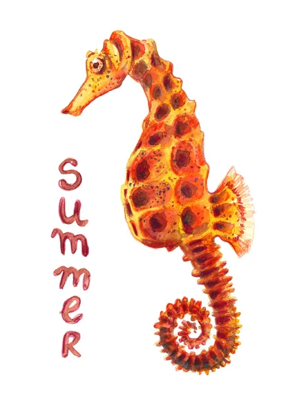 Akvarell seahorse illustration. — Stockfoto