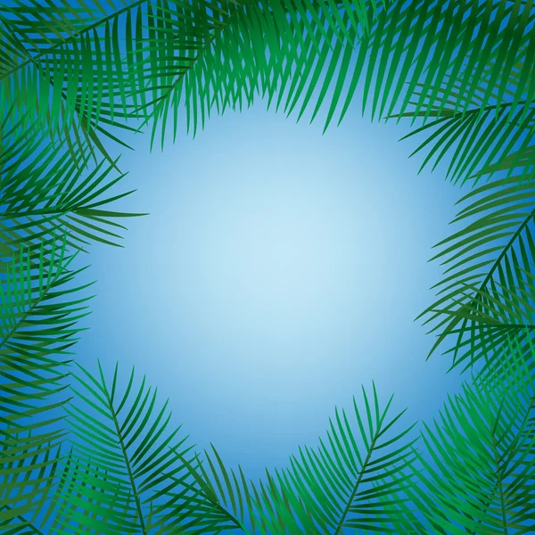 Frame of palm leaves — Stock Vector