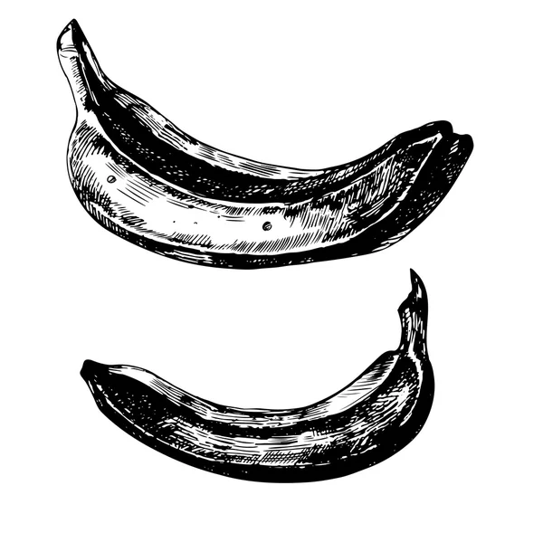 Plátanos — Archivo Imágenes Vectoriales