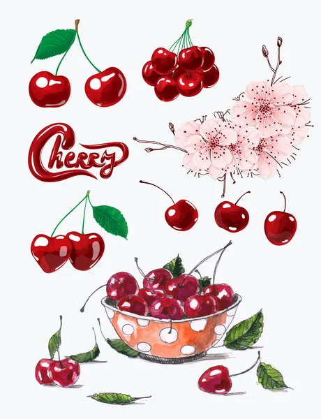 Cerezas — Vector de stock