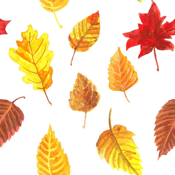 Padrão de folhas de outono —  Vetores de Stock