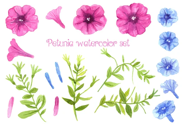 Ensemble aquarelle Petunia — Image vectorielle