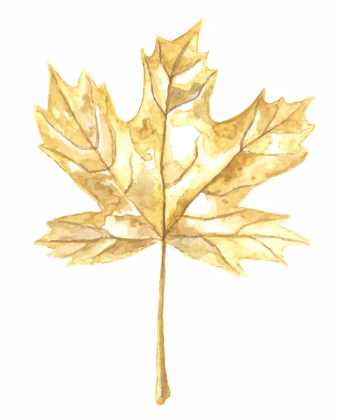 Feuille d'érable d'automne — Image vectorielle