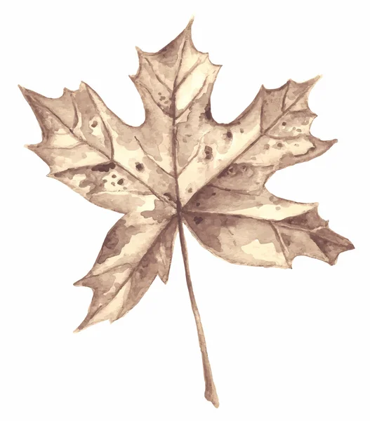 Hoja de arce de otoño — Vector de stock