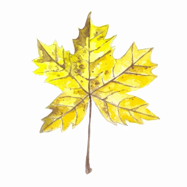 Hoja de arce de otoño — Vector de stock